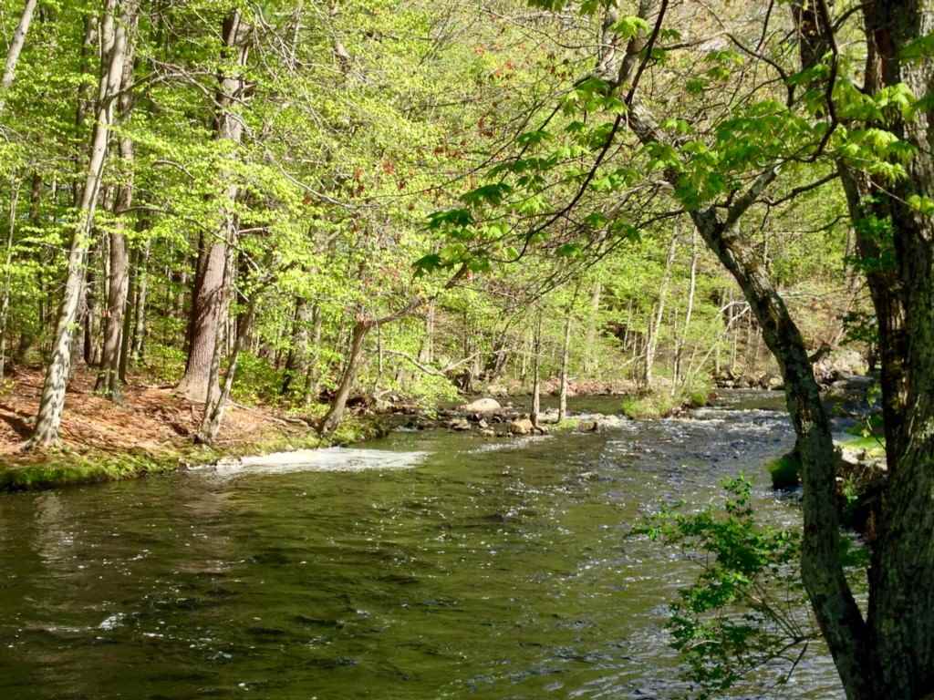 506 Middle Road Brentwood, NH 03833 - Photo 2 of 30 Gallery Image 2