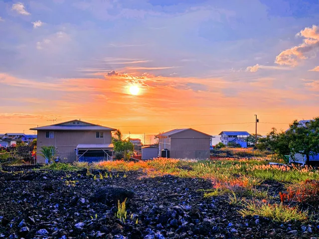 a view of a house with a yard and a garden