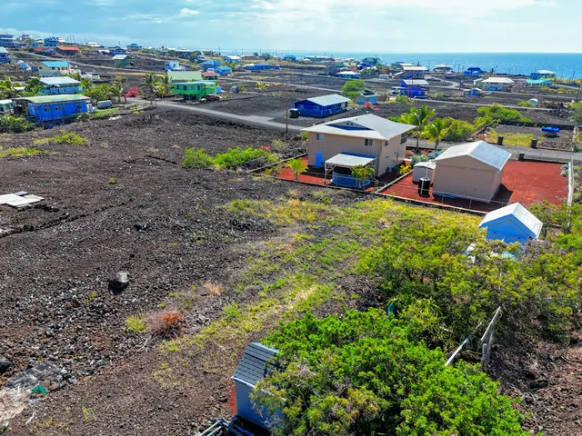 a house with lots of trees