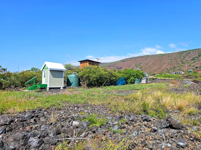 a view of a house with a yard and a large tree