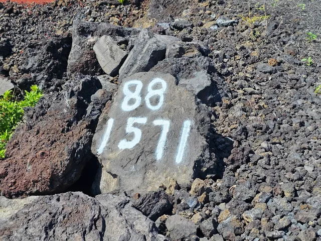 a vase of flowers sitting on a table