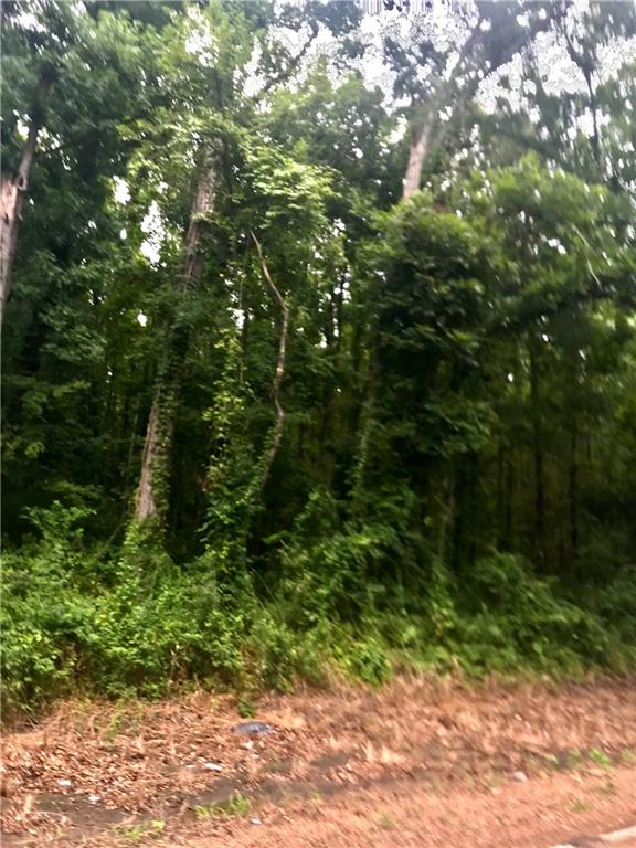 0 Sunset Road Glenmora, LA 71433 - Photo 2 of 2 Gallery Image 2