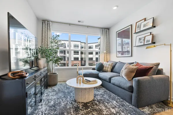 a living room with furniture and a potted plant