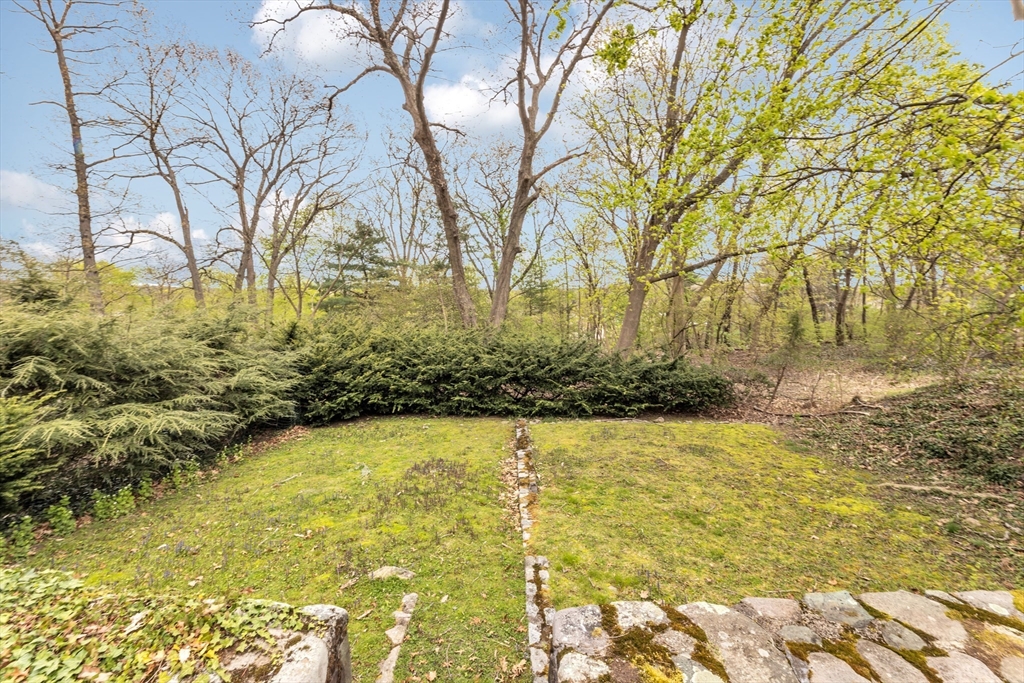 55 Arborough Road Boston, MA 02131 - Photo 22 of 30