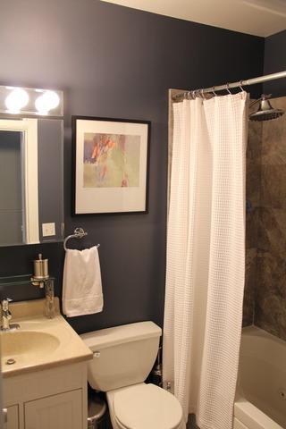 941 West Gordon Terrace, Unit 1E Chicago, IL 60613 - Photo 11 of 14 a white toilet sitting next to a bathroom sink