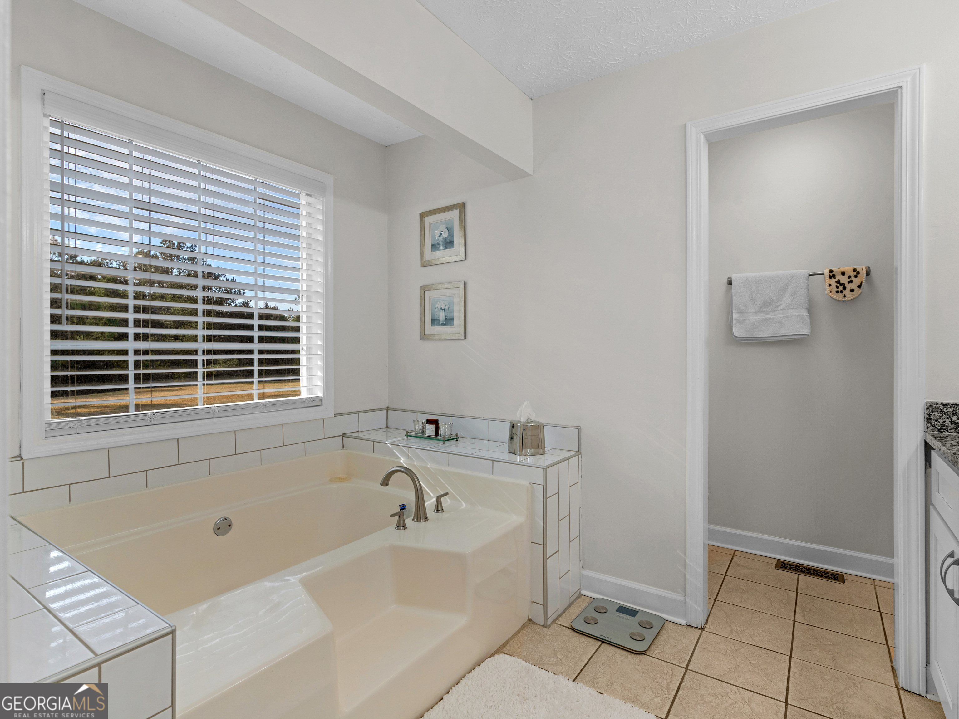 521 Levi Barnes Road Jackson, GA 30233 - Photo 21 of 32