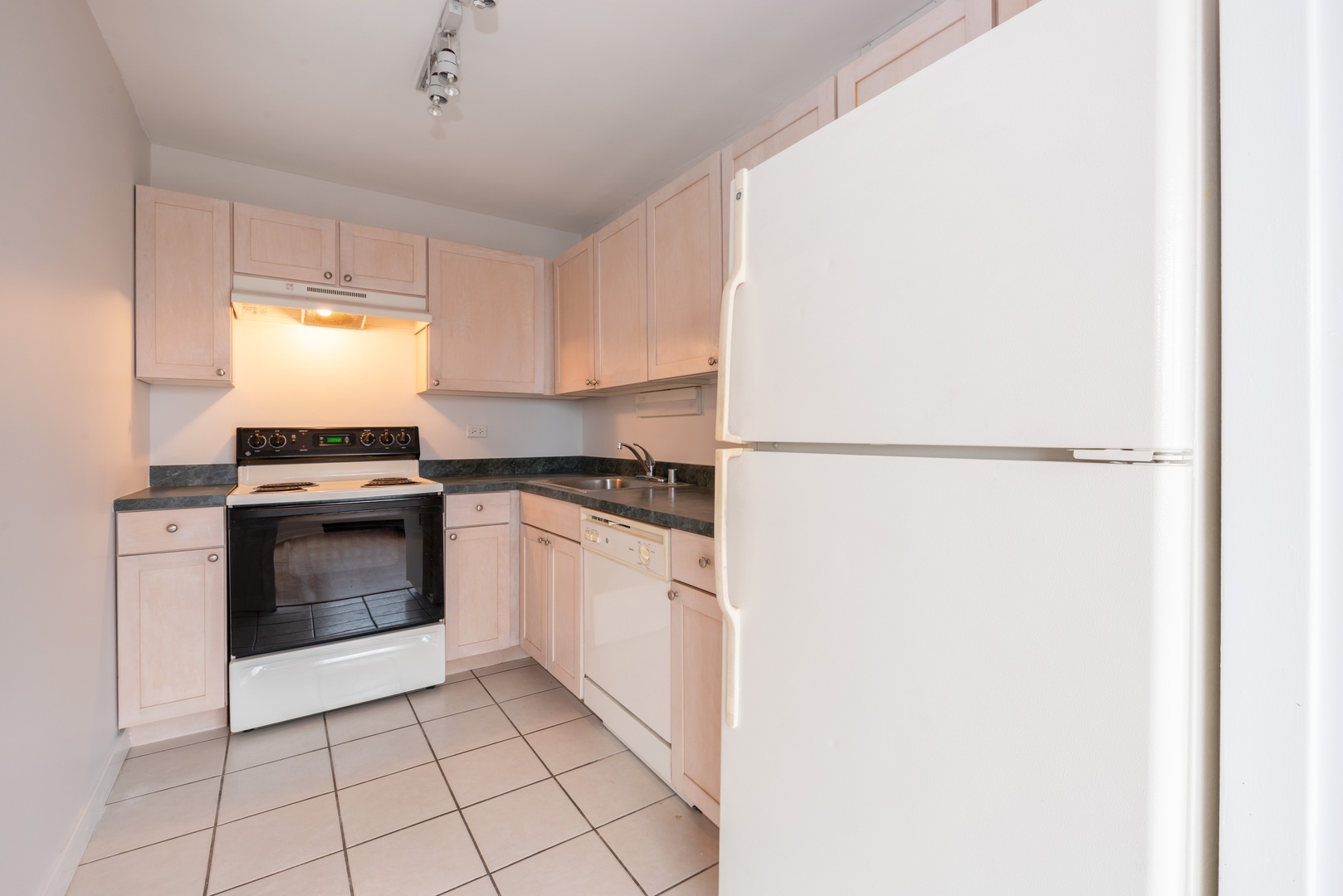 655 West Irving Park Road, Unit 1512 Chicago, IL 60613 - Photo 6 of 10