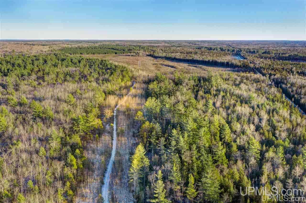 4091 Hiawatha Station Road Manistique, MI 49854 - Photo 5 of 24