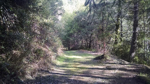 100 Moore Ranch Road Hoopa, CA 95546 - Photo 2 of 11