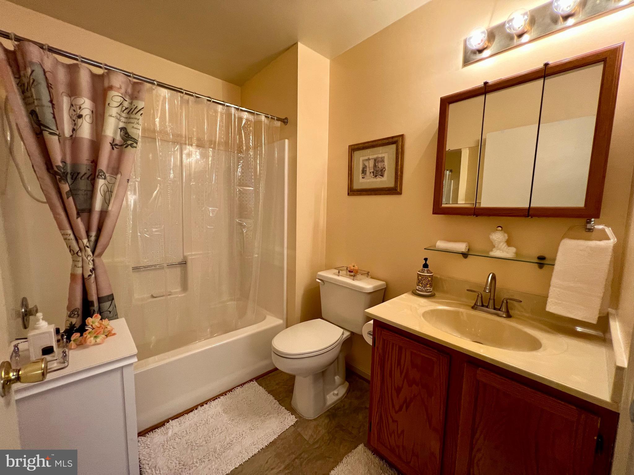 9278 Cherry Lane, Unit 95 Laurel, MD 20708 - Photo 19 of 28 Bathroom 2 with tub
