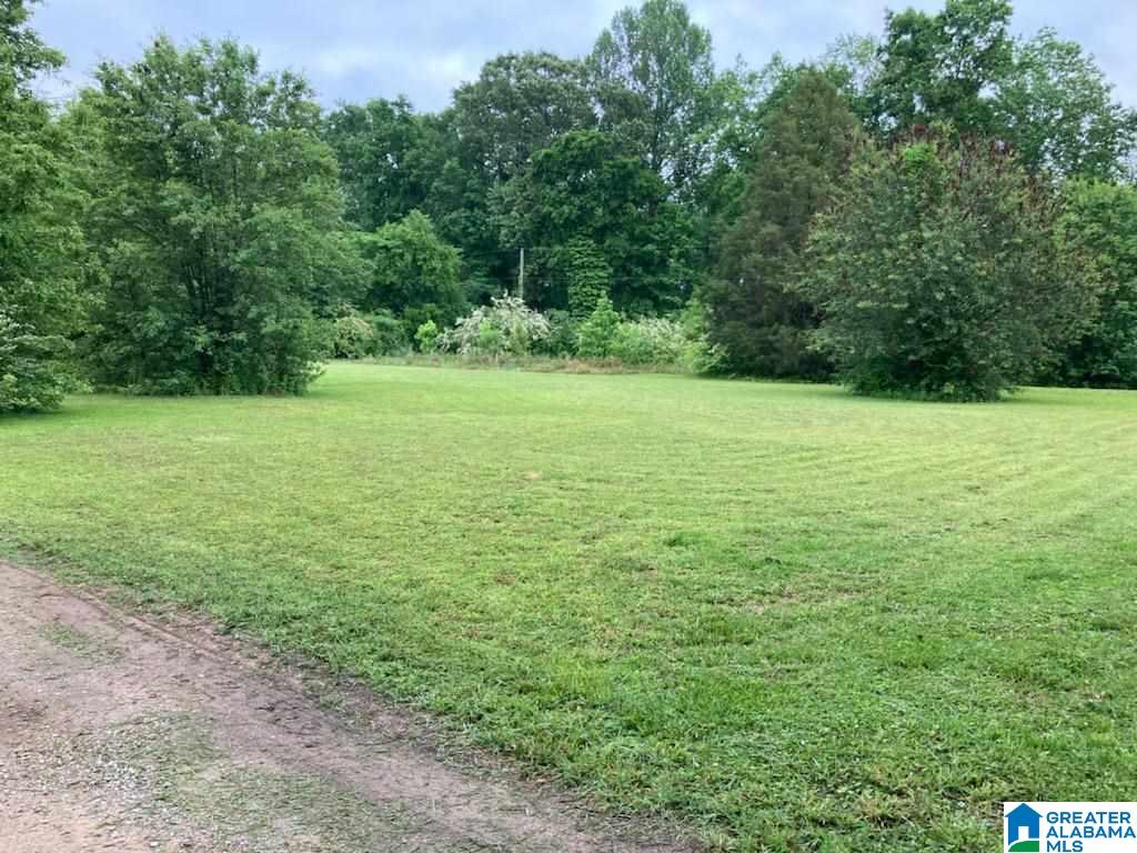 597 Darden Road Brent, AL 35034 - Photo 1 of 1