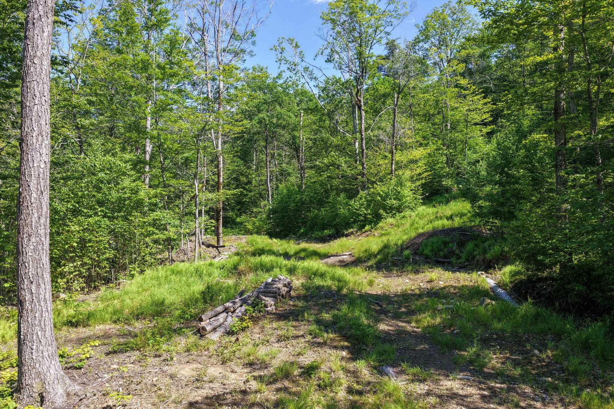381 Whitaker Farm Road Marlboro, VT 05301 - Photo 5 of 20