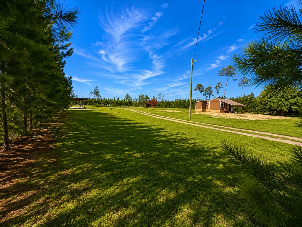 1386 Pleasant Rest Road, Unit 1386 Wewahitchka, FL 32465 - Photo 2 of 25