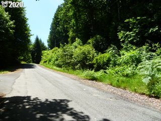 51495 Bankston Road Scappoose, OR 97056 - Photo 14 of 18 Gallery Image 14