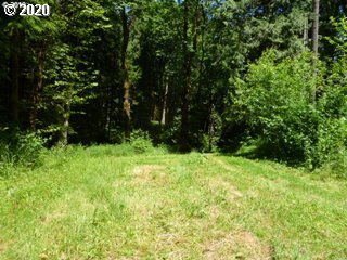 51495 Bankston Road Scappoose, OR 97056 - Photo 3 of 18 Gallery Image 3