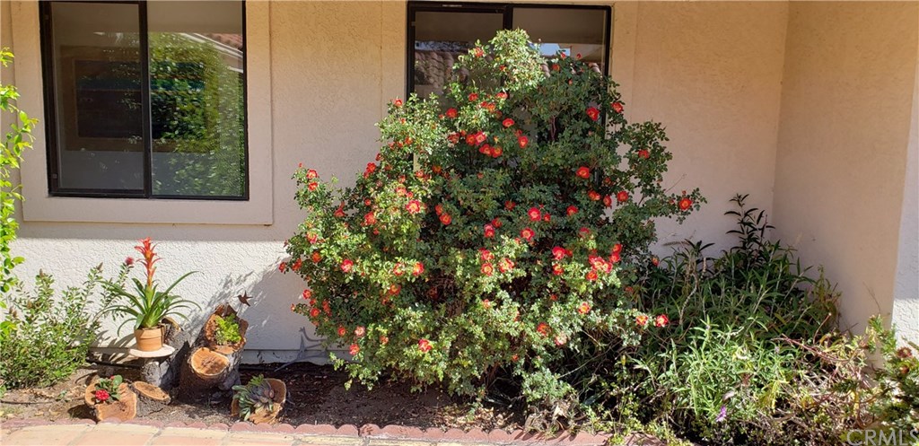 9750 Random Canyon Way Creston, CA 93432 - Photo 13 of 75