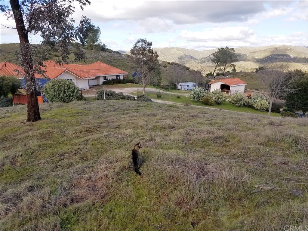 9750 Random Canyon Way Creston, CA 93432 - Photo 17 of 75