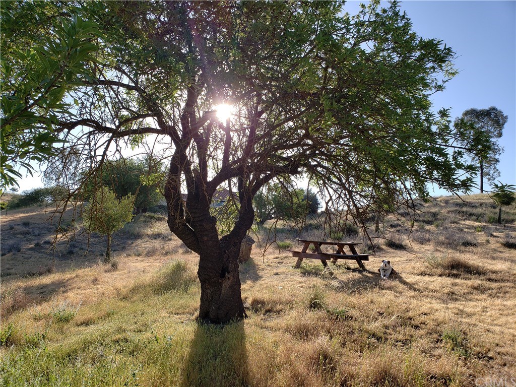 9750 Random Canyon Way Creston, CA 93432 - Photo 27 of 75