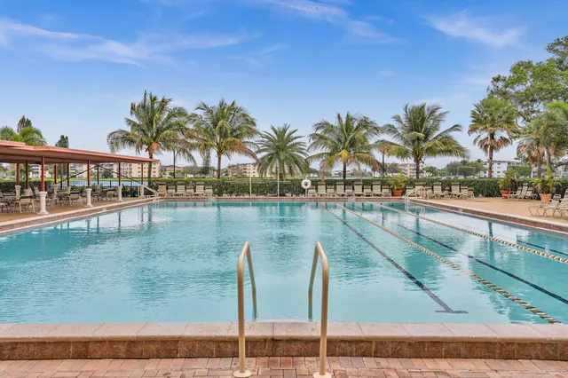 a view of a swimming pool with a lawn chairs and a potted plant