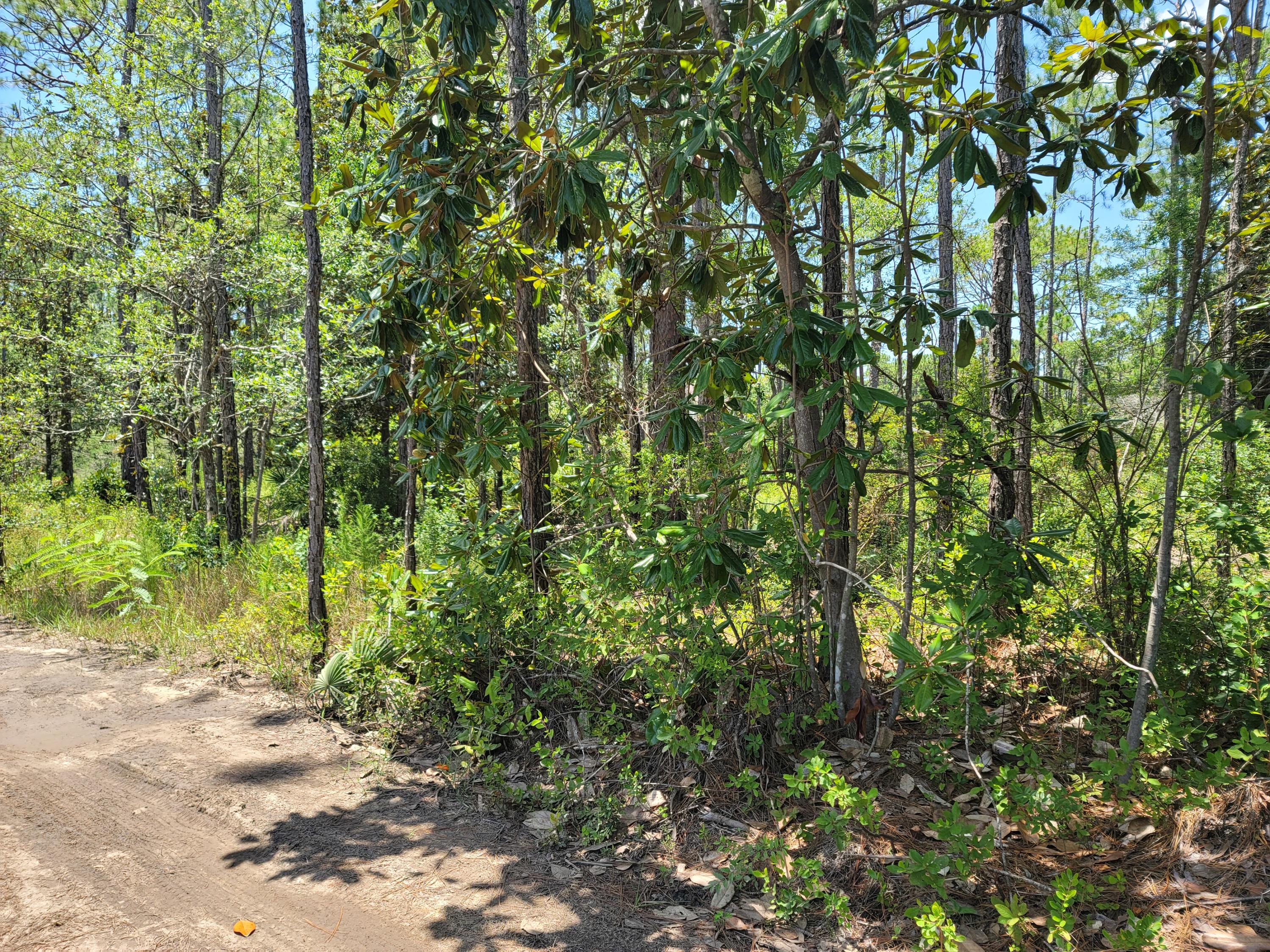 Lot 3 1st Street Santa Rosa Beach, FL 32459 - Photo 3 of 8 20210715_124041