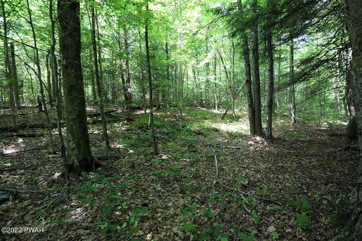 0 Minckler Mountain Road Damascus, PA 18415 - Photo 39 of 43