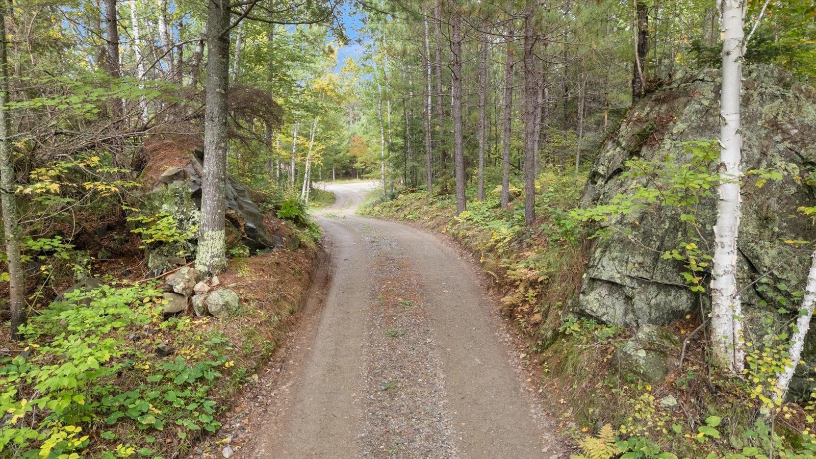 2375 Viste Point Road Ely, MN 55731 - Photo 54 of 83 View of road going to home