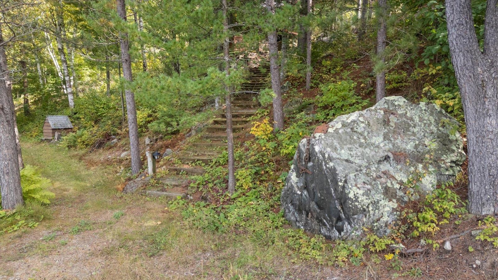 2375 Viste Point Road Ely, MN 55731 - Photo 67 of 83 Path next to the lake