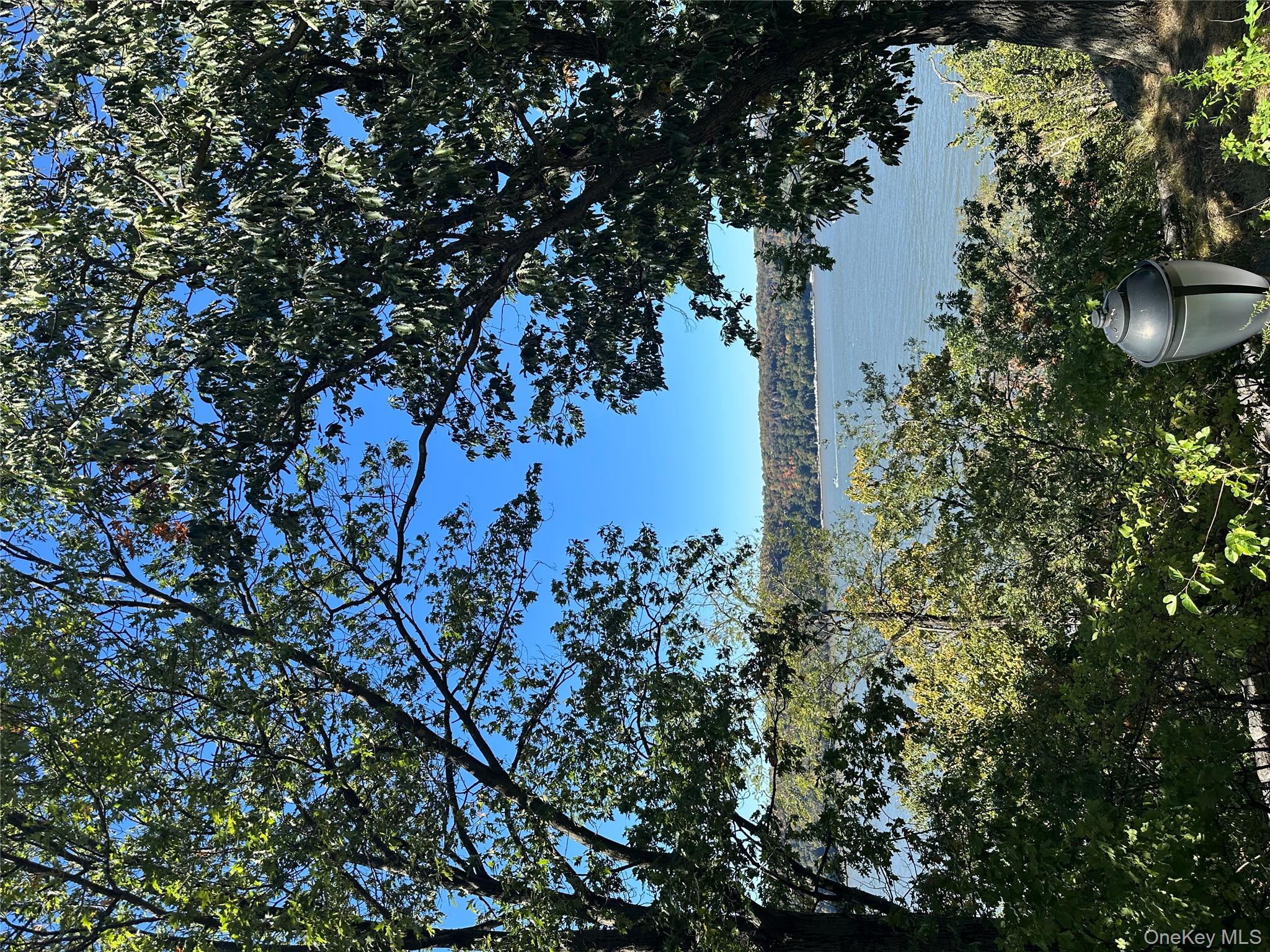 295 Bennett Avenue, Unit 4B Manhattan, NY 10040 - Photo 15 of 18 a view of a bunch of trees and bushes