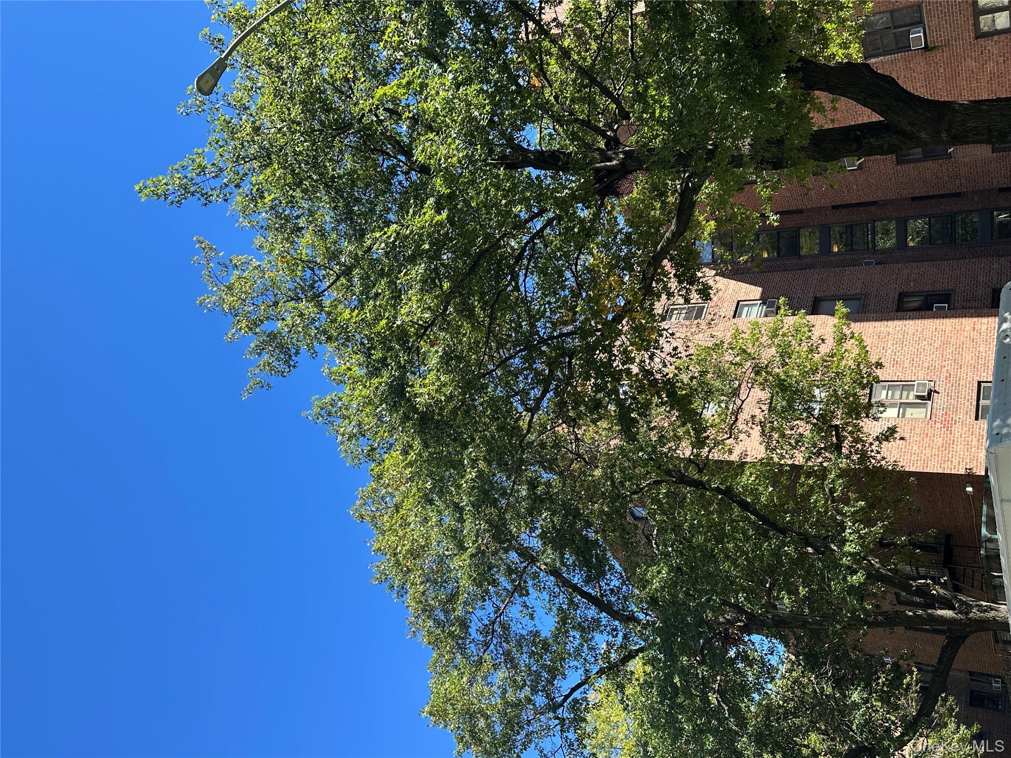 295 Bennett Avenue, Unit 4B Manhattan, NY 10040 - Photo 6 of 18 a view of a tree with a tree in front of it
