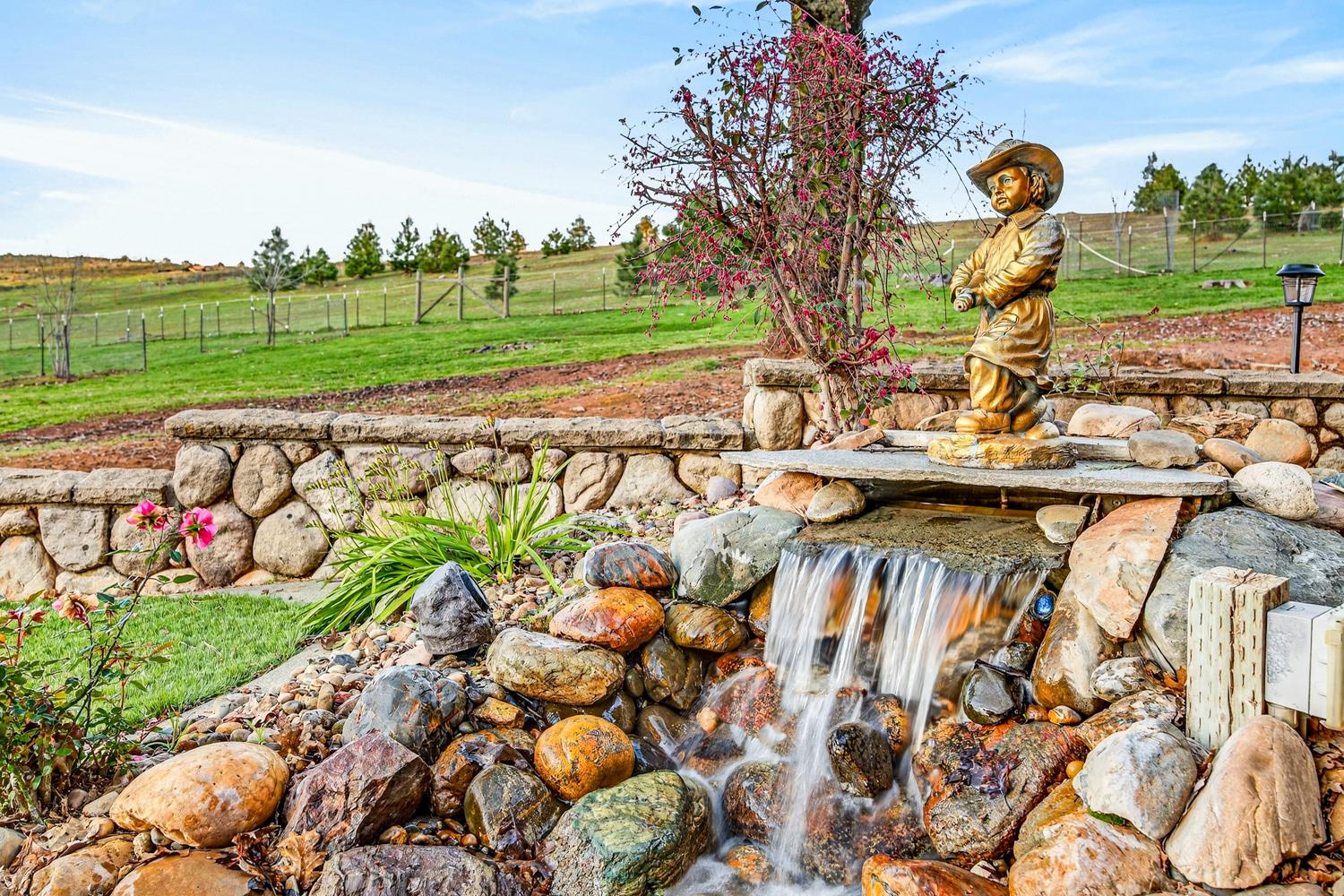 10394 Ponderosa Way Mountain Ranch, CA 95246 - Photo 37 of 58 a view of a park with large trees