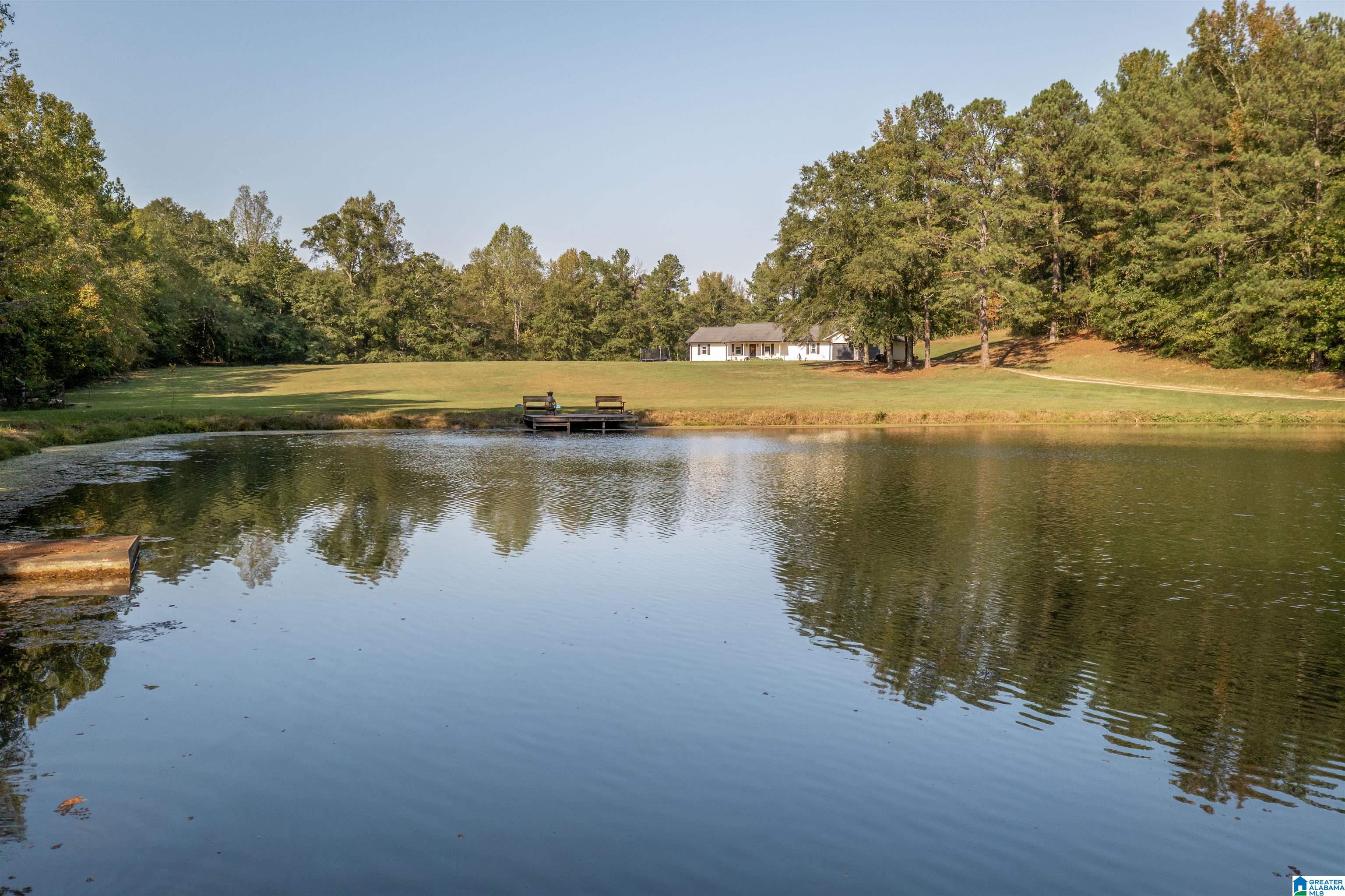 4483 Peeks Hill Road Ohatchee, AL 36271 - Photo 5 of 38 Gallery Image 5