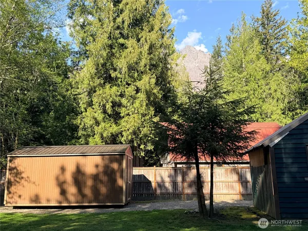 a view of backyard with tree