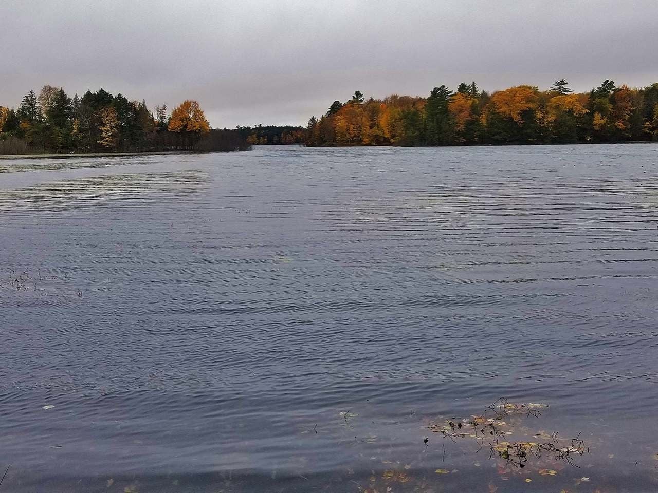 6485 North Forest Lake Road Land O'Lakes, WI 54540 - Photo 21 of 31 Gallery Image 21