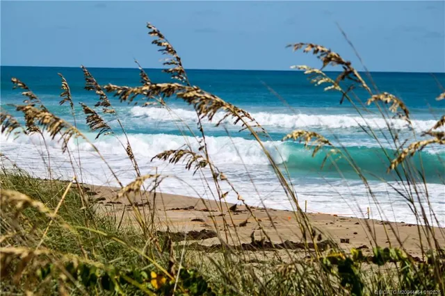 a view of building and ocean