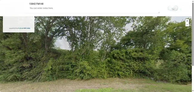 a view of a forest with a street