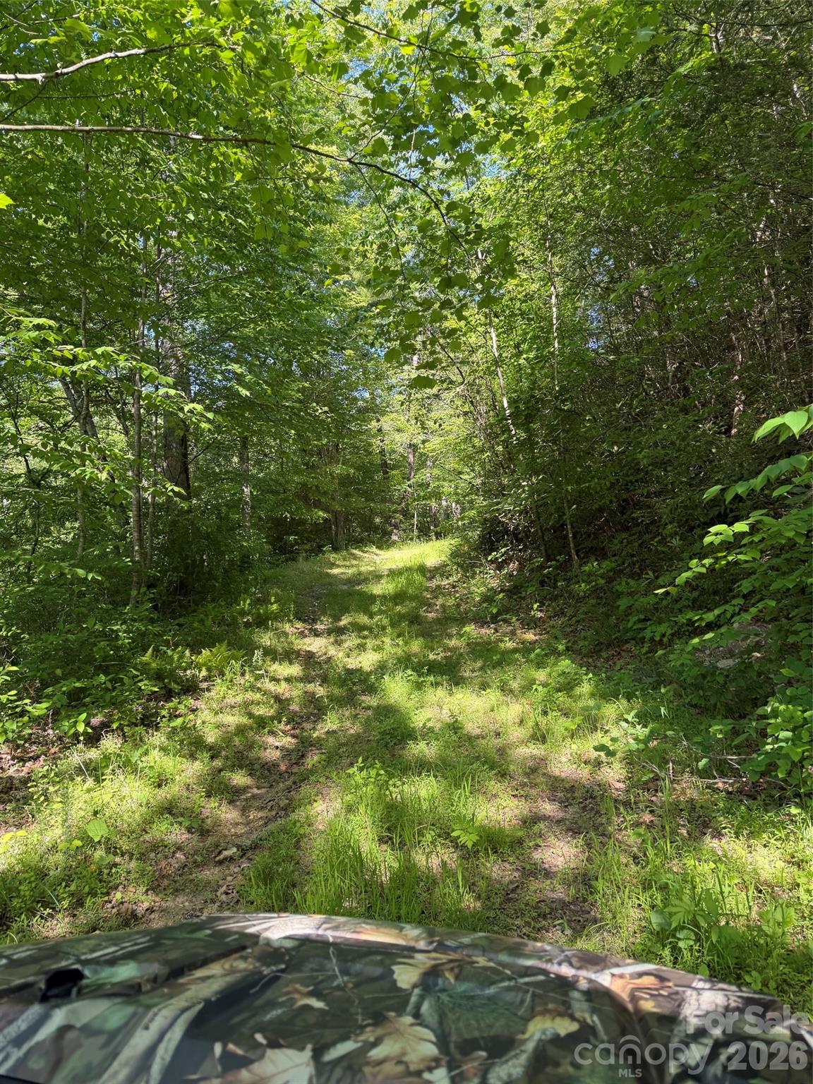 Lot 8 Parker Padgett Road Old Fort, NC 28762 - Photo 2 of 9