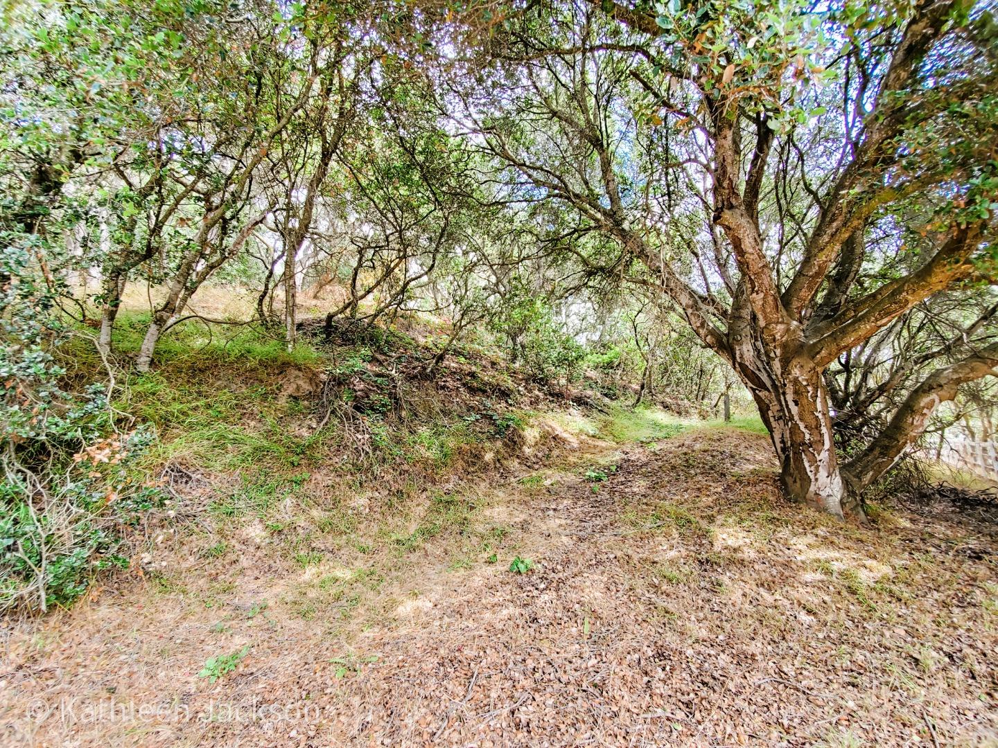 7319 Tustin Road Salinas, CA 93907 - Photo 11 of 11 Gallery Image 11