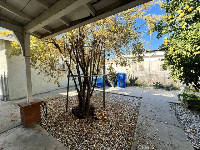a view of a yard with plants and trees