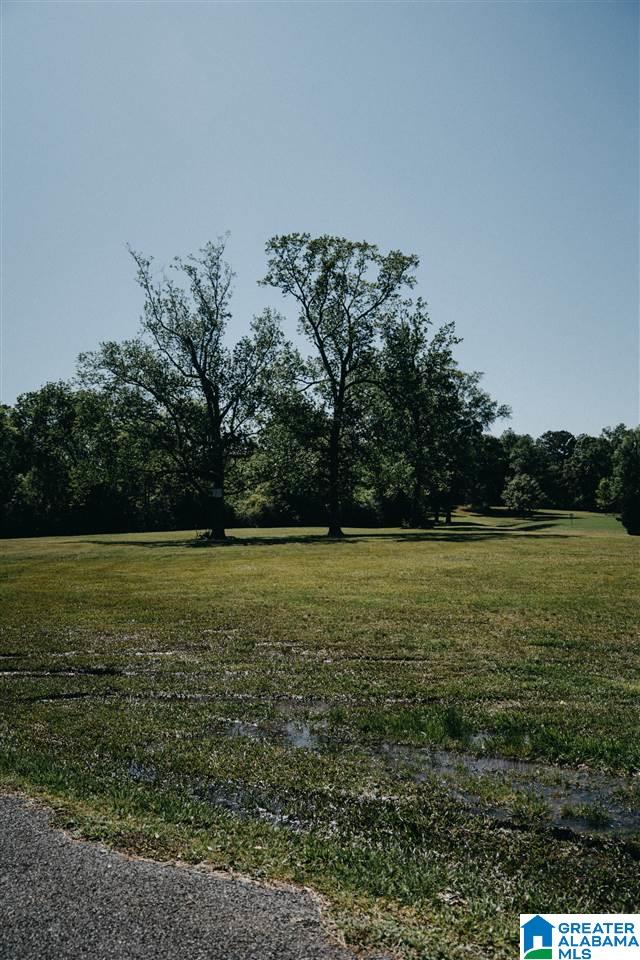 0 D Street Jacksonville, AL 36265 - Photo 17 of 23