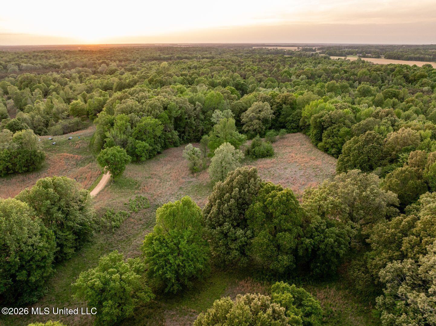 0 Hankins Road Sarah, MS 38665 - Photo 11 of 32 21-HankinsFinal