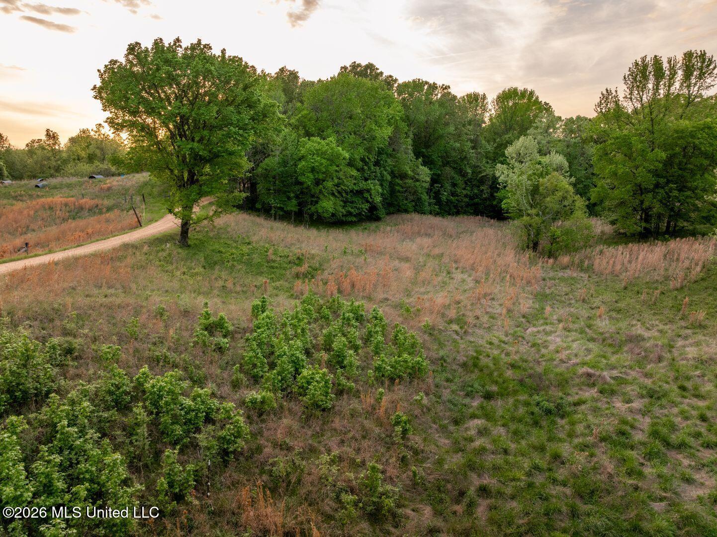 0 Hankins Road Sarah, MS 38665 - Photo 12 of 32 22-HankinsFinal
