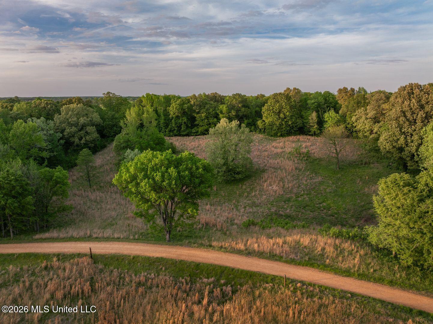 0 Hankins Road Sarah, MS 38665 - Photo 13 of 32 23-HankinsFinal