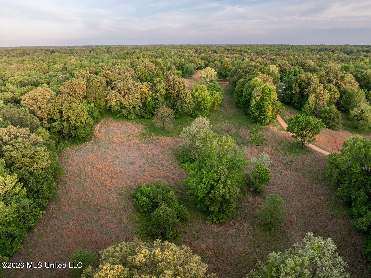 0 Hankins Road Sarah, MS 38665 - Photo 14 of 32 24-HankinsFinal