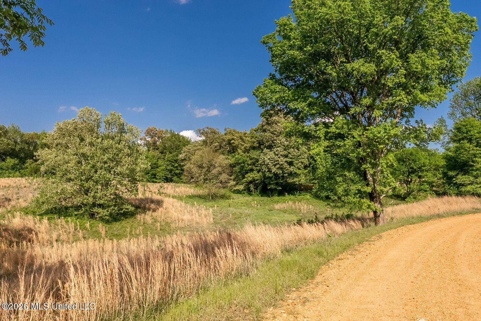 0 Hankins Road Sarah, MS 38665 - Photo 15 of 32 25-HankinsFinal