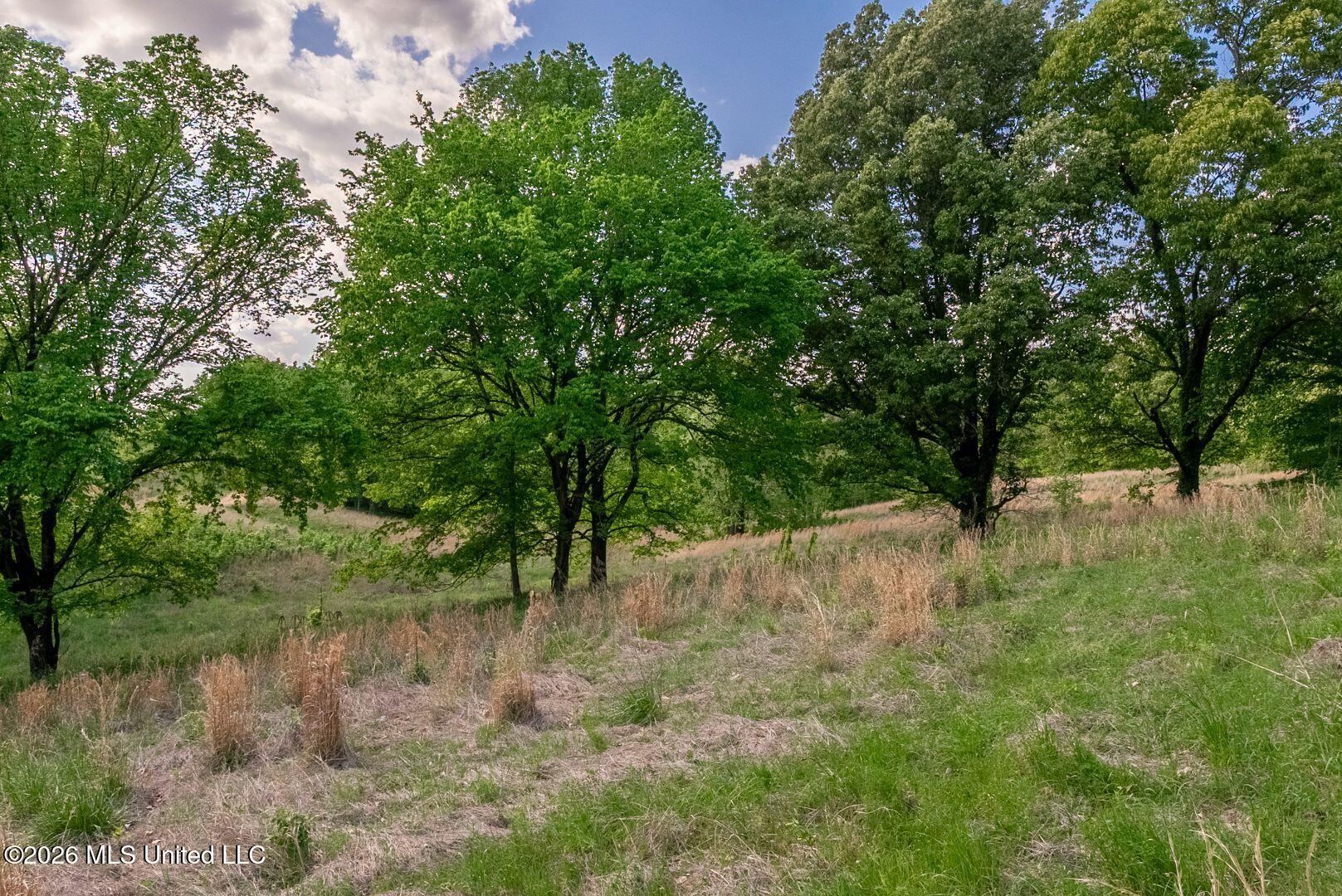 0 Hankins Road Sarah, MS 38665 - Photo 16 of 32 28-HankinsFinal