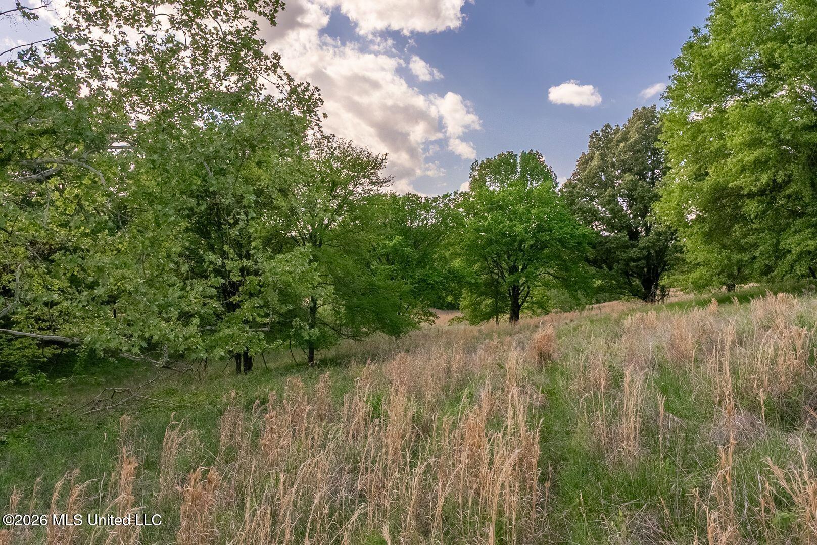 0 Hankins Road Sarah, MS 38665 - Photo 17 of 32 29-HankinsFinal