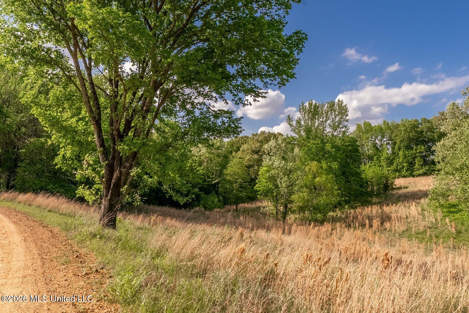0 Hankins Road Sarah, MS 38665 - Photo 18 of 32 30-HankinsFinal
