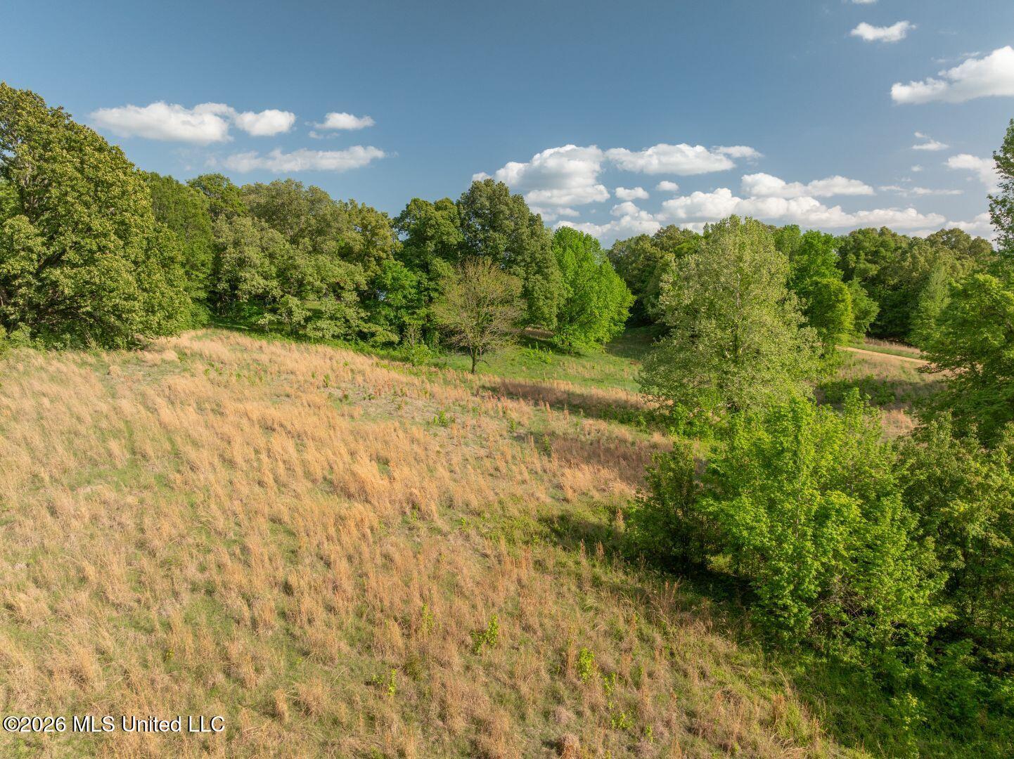 0 Hankins Road Sarah, MS 38665 - Photo 19 of 32 31-HankinsFinal