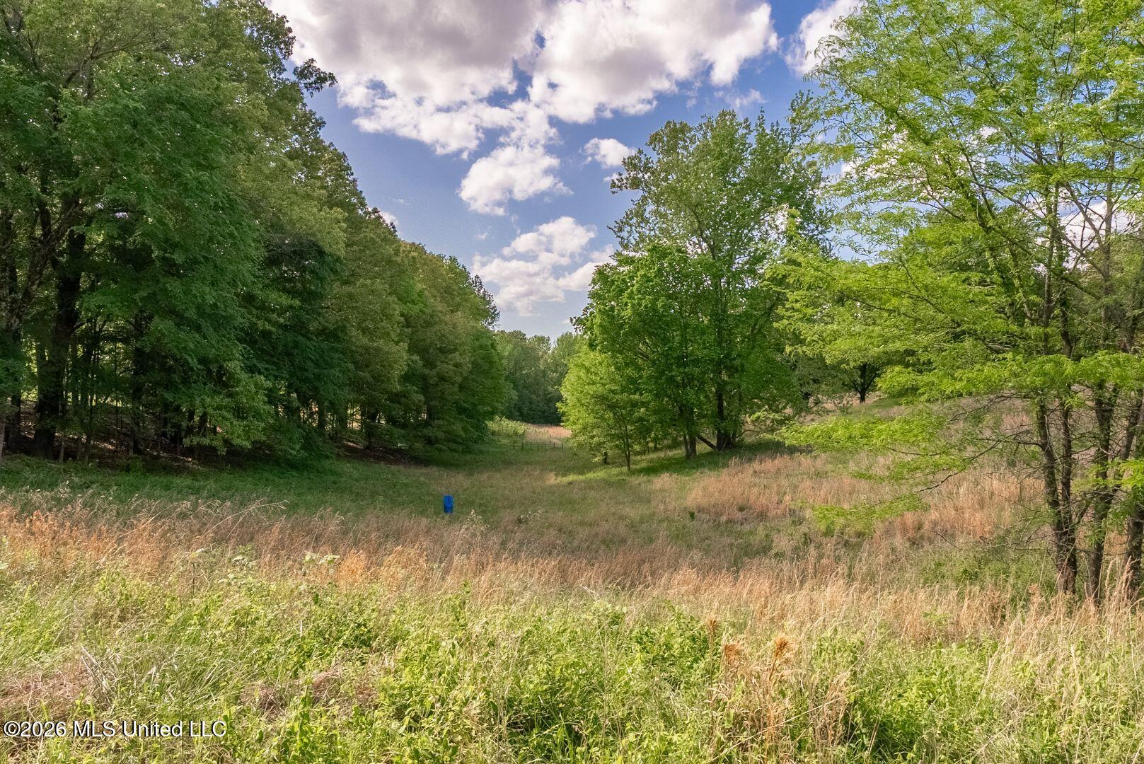 0 Hankins Road Sarah, MS 38665 - Photo 20 of 32 32-HankinsFinal