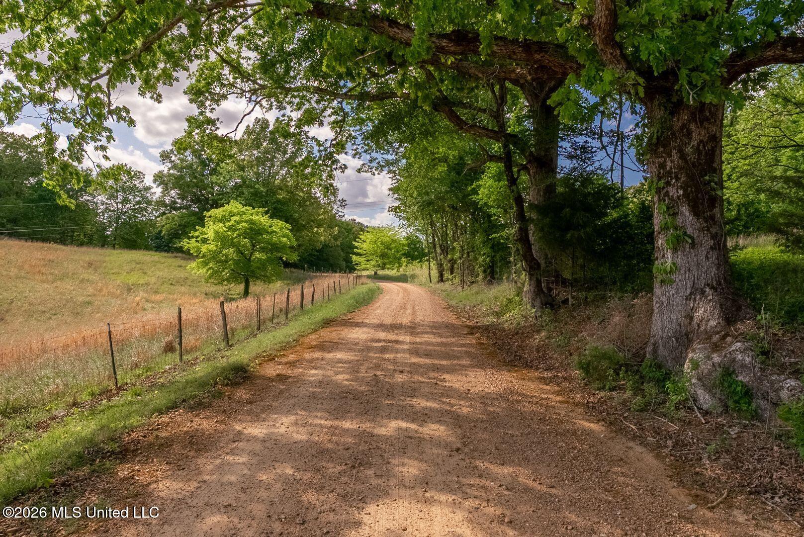0 Hankins Road Sarah, MS 38665 - Photo 2 of 32 03-HankinsFinal